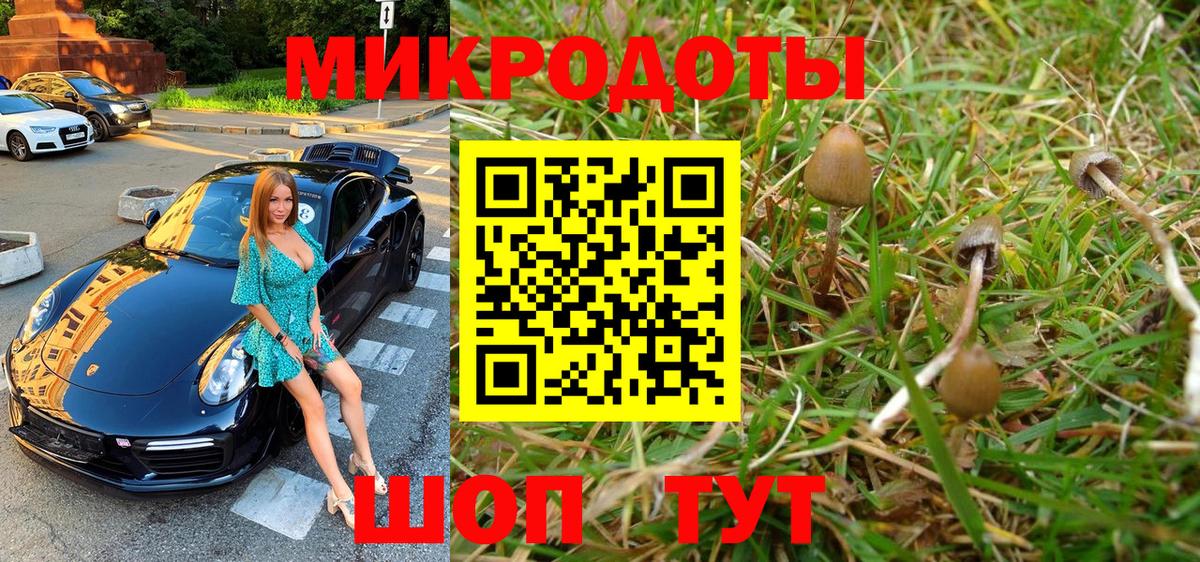 Лосино-Петровский  Галлюциногенные грибы мицелий  что такое наркотик  Псилоцибиновые грибы мухоморы  Вход с VPN 